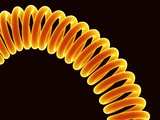 Buy Filament of light bulb at AllPosters.com