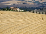 Italy, Tuscany, Harvested corn field, farmstead in background