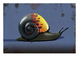 Hot Rod Snail