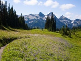 Buy Mount rainier national park and tatoosh mountains at AllPosters.com