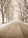 Peaceful Country Road in Rural Michigan