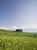 Italy, Tuscany, landscape
