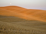 Italy, Tuscany, Full moon over harvested fields
