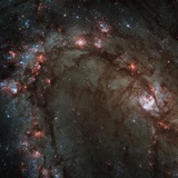 Buy Star Birth in the Southern Pinwheel Galaxy at AllPosters.com
