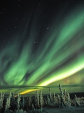 Aurora Borealis or Northern Lights, Yukon.