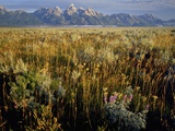 Grand Teton National Park