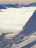 Skier Skiing Fresh Deep Powder in Backcountry Near Fernie, East Kootenays, British Columbia, Canada