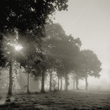 Buy Sun shining through morning mist at AllPosters.com