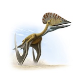 Tupuxuara, a type of pterosaur, lived in present day Brazil.