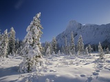 Buy Mount Chephren and Mistaya Valley in Winter, Banff National Park, Alberta, Canada at AllPosters.com