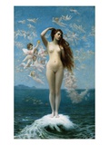 Venus Rising (The Star)