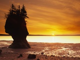 Hopewell Rocks, New Brunswick, Canada