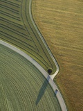 Germany, Bavaria, fields and country roads, aerial view