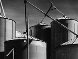 Coop Feeds