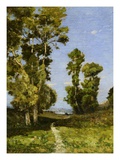 The Way Leading to the Lake