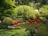 Buy Japanese Garden Pond at AllPosters.com