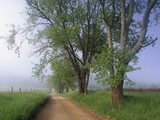 Buy Fog Over Rural Road in Great Smoky Mountains at AllPosters.com