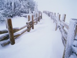 Buy Snow-covered Path in Crater Lake National Park at AllPosters.com