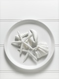 Buy High angle view of shells on plate at AllPosters.com