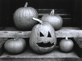 Pumpkins