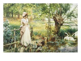 A Reverie by the River