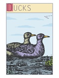 Buy Ducks at AllPosters.com