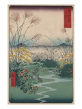 Otsuki Fields in Kai Province