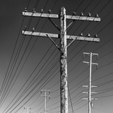 Buy Poles and Wires at AllPosters.com