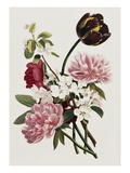 Buy A Bouquet of Tulip and Peonies at AllPosters.com