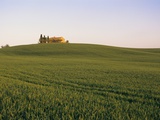 House on Grassy Hill