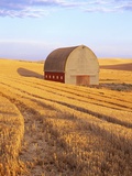 Barn in Harvested Field