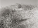 Sylt XIII