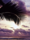 Buy Sunset in Rarotonga at AllPosters.com
