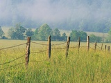 Buy Rural Fence at AllPosters.com