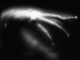 Buy Blurred Sea Slug at AllPosters.com