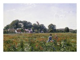 Gathering Wild Flowers