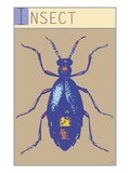 Buy Insect at AllPosters.com