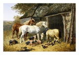 Farmland Friends