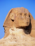 Head of The Great Sphinx