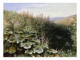 On the Riverbank