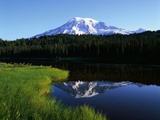 Mt. Rainier