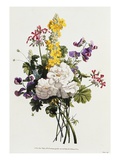 Buy Bouquet of Mixed Flowers at AllPosters.com