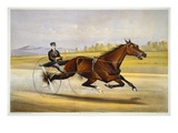 Buy Queen of the Turf, 'Maud S', Driven by W.W. Bair, Lithograph at AllPosters.com