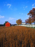 Farm in Autumn