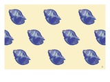 Buy Shells 2 at AllPosters.com