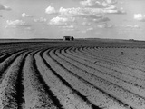 Plowed Fields on a Mechanized Cotton Farm