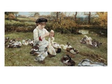 Feeding the Ducks