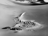 Buy Sand Dune #17 at AllPosters.com