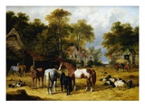 Horses, Cattle, Pigs and Chickens in a Farmyard