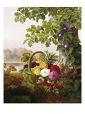 Dahlias, Asters, and Morning Glory